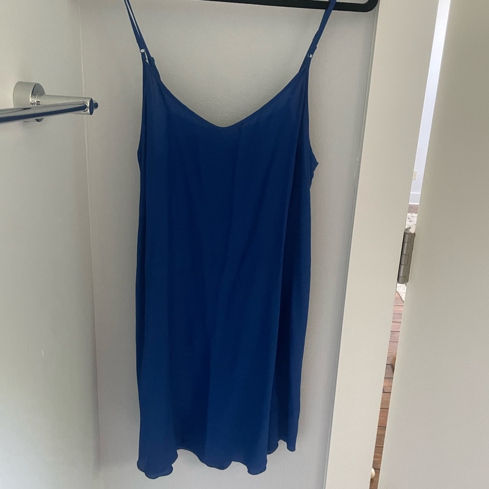 Wilfred Aritzia 100% Silk Blue Slip